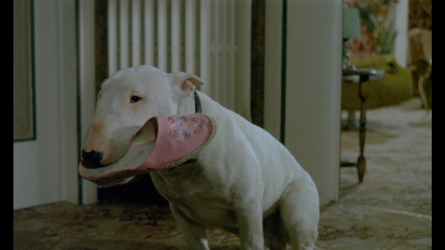 Baxter.1989.MULTI.COMPLETE.BLURAY-FULLBRUTALiTY_20250701_100026.325.png