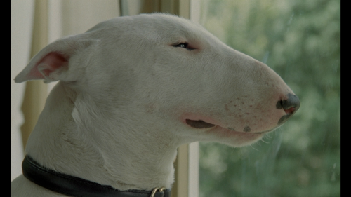 Baxter.1989.MULTI.COMPLETE.BLURAY-FULLBRUTALiTY_20250701_100049.382.png