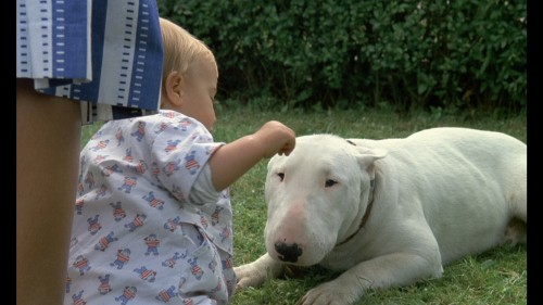 Baxter.1989.MULTI.COMPLETE.BLURAY-FULLBRUTALiTY_20250701_100313.341.png