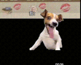 20250714-132725.gif