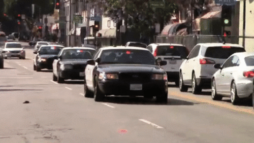 731.gif