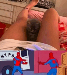 2cf033e0-9e9a-4029-87f4-6b8465e9def1.png