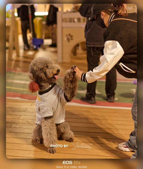 photoby_1738127310740.jpeg