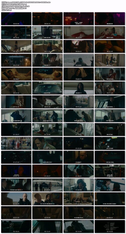 Anora.2024.2160p.iT.WEB-DL.H265.HDR.DD5.1-SONYHD.mkv.jpeg