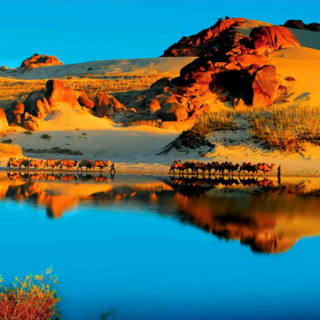 ningxia