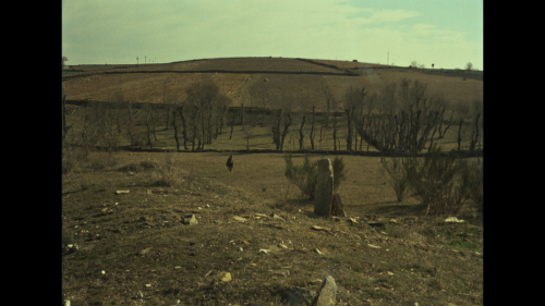 Veredas-1978_20250822_215157.755.png