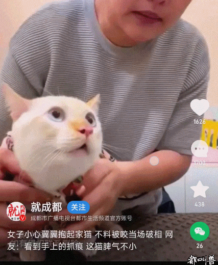 88888.gif