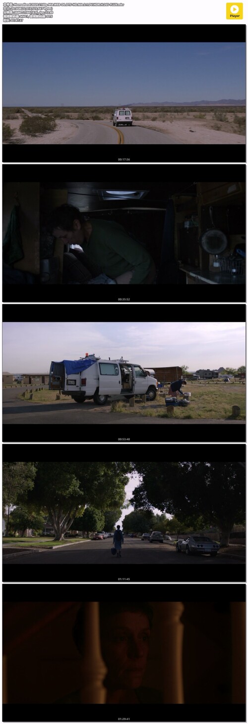 Nomadland.2020.2160p.MA.WEB-DL.DTS-HD.MA.5.1.DV.HDR.H.265-FLUX.mkv.jpeg