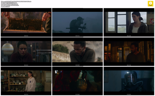 IO.2019.1080p.Netflix.WEB-DL.AVC.DDP.5.1-DBTV.mkv.png