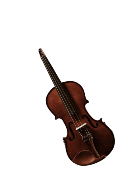 Item_Guitar_Case.png