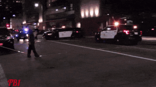 lapd-police.gif