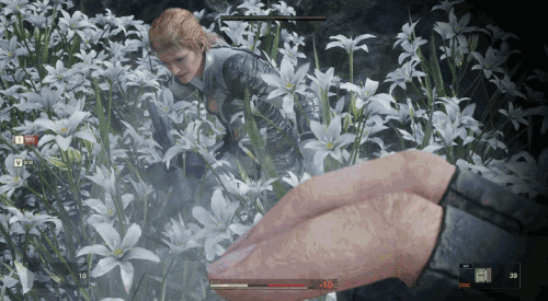 GIF 2026 1 28 20 35 34