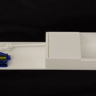 PXL_20250704_122511452