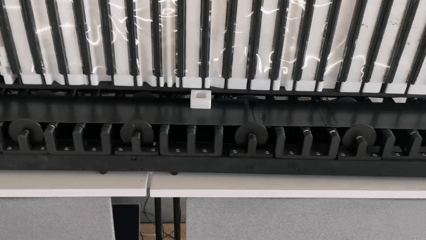 VID_20250726_093113.gif