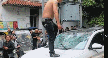 0011.gif