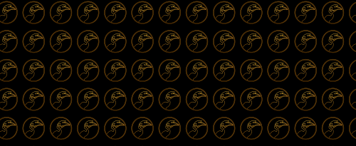 hornbills-pattern-background-1898x777-readable.png