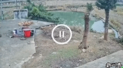 67890.gif