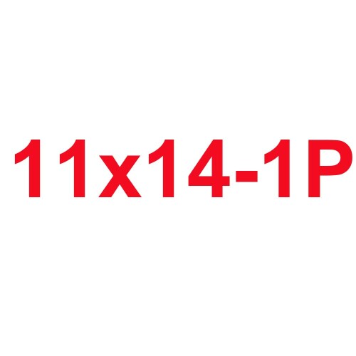 1114-1P.jpeg