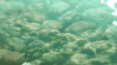 Kamiina-Botan-48.gif