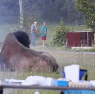 67890118223a51a7b71e98.gif