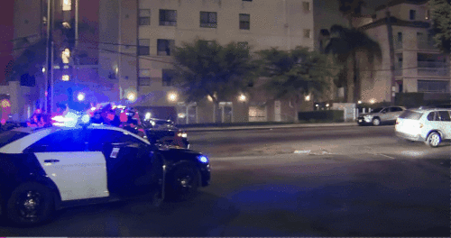 LAPD1.gif