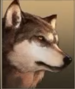 ca5ac1bd658d6577ec6dd36f4f84cb3b.png
